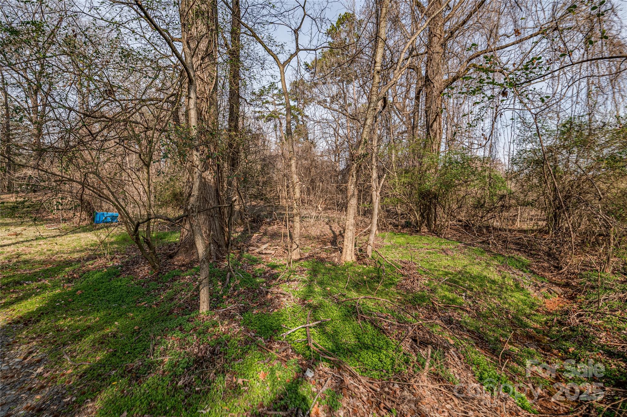 13216 Lawyers Road Mint Hill, NC 28227 - Photo 5 of 17 a backyard of a house with lots of green space