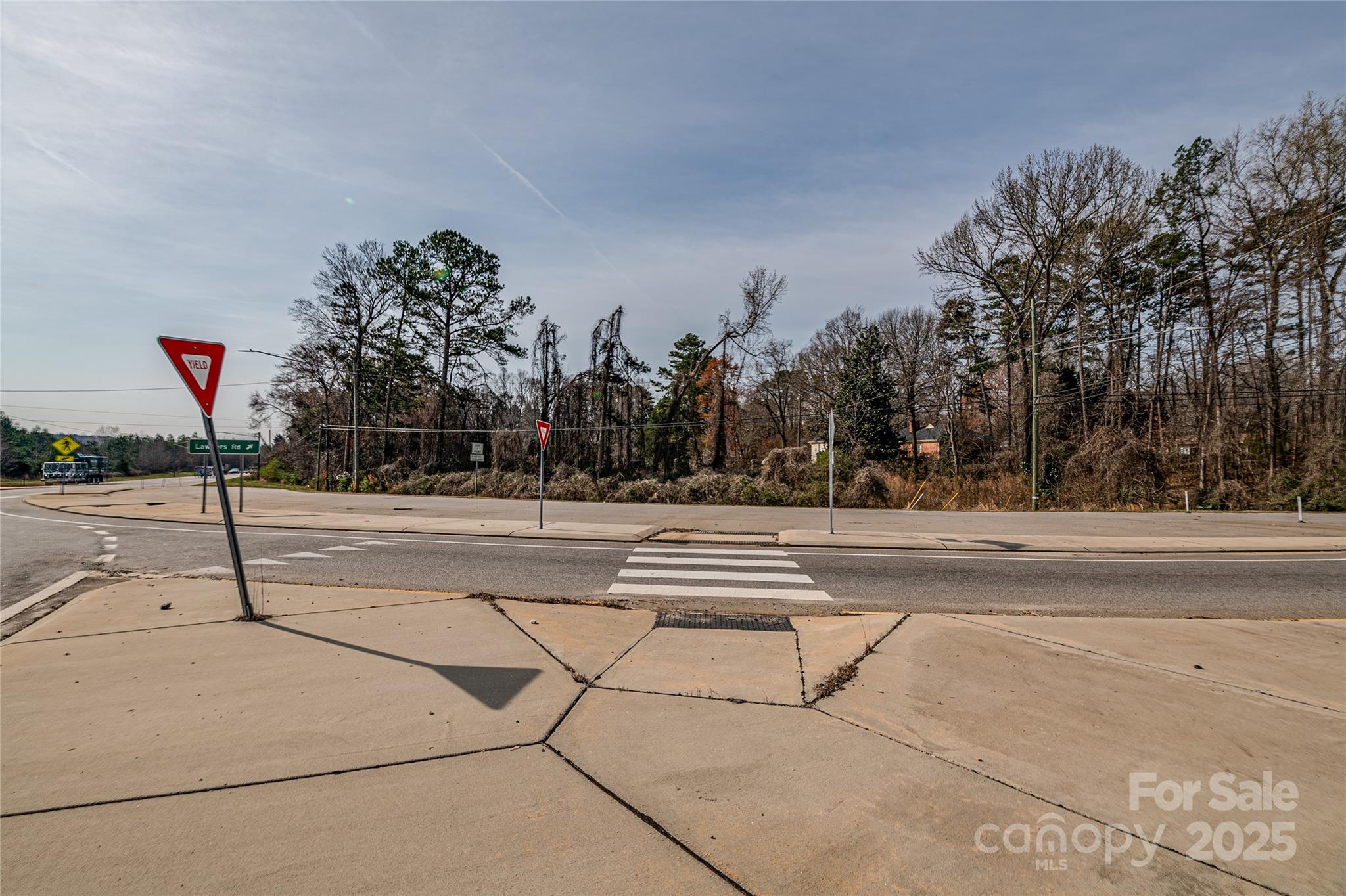 13216 Lawyers Road Mint Hill, NC 28227 - Photo 9 of 17 a park view with tree s