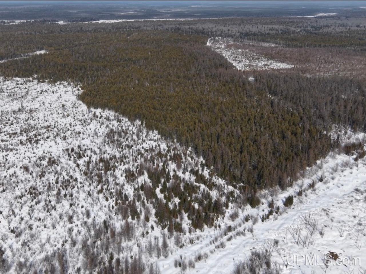 E 80-acres River Road Gulliver, MI 49840 - Photo 12 of 20