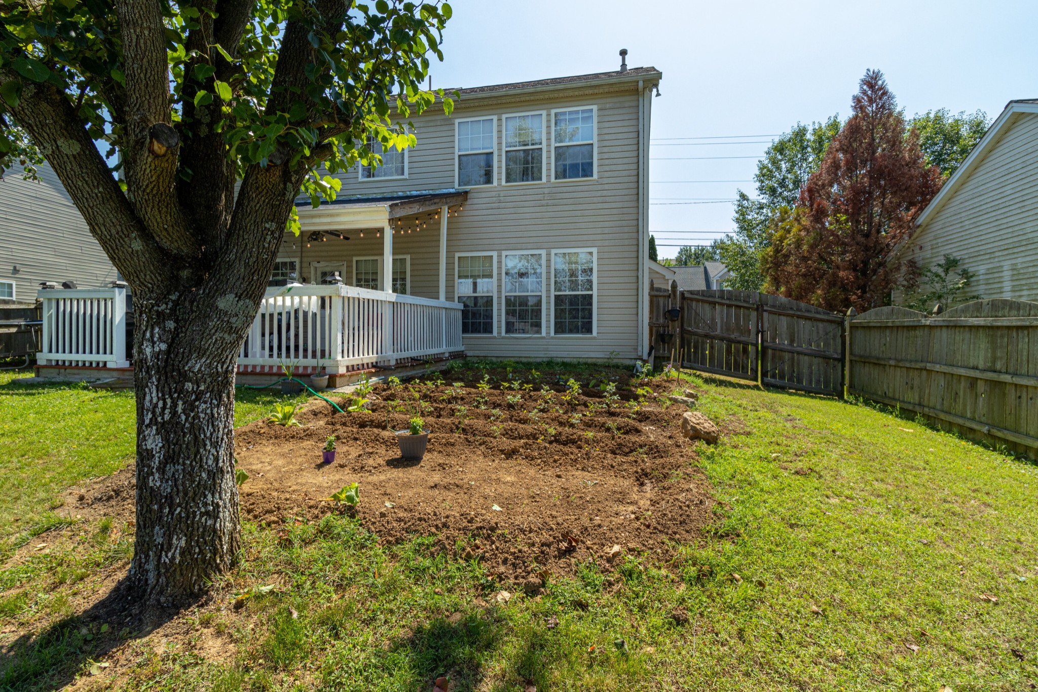 1696 Eagle Trace Drive Mount Juliet, TN 37122 - Photo 24 of 28 a backyard of a house with large trees and a yard