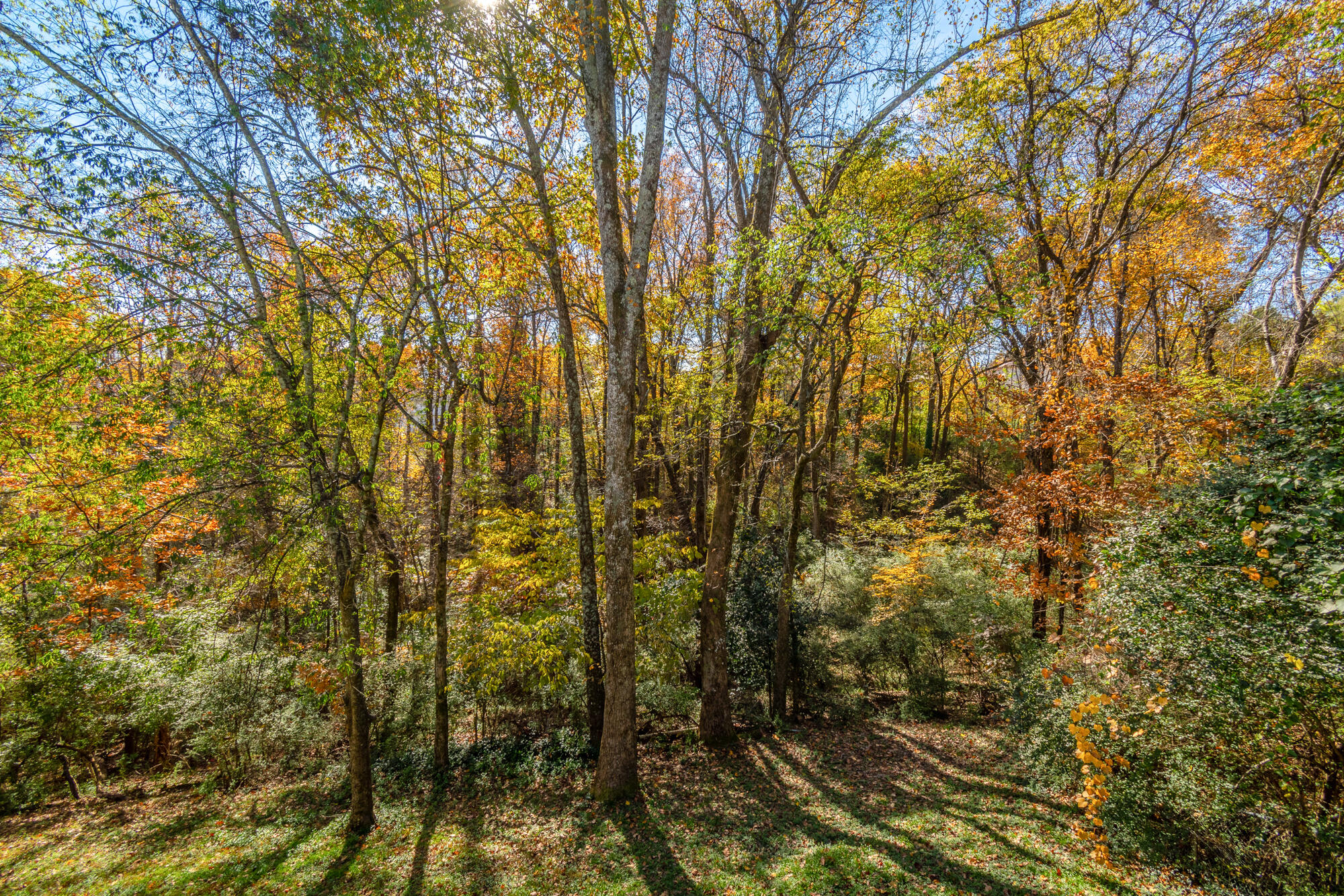 6411 Point Pleasant Road Hixson, TN 37343 - Photo 54 of 62 6411 Point Pleasant Rd. HD-51