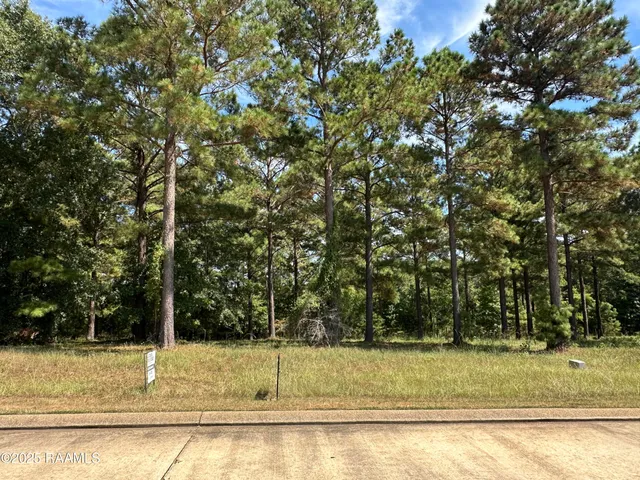 $79,000 | Tbd Cypress Village Drive, Many, LA 71449
