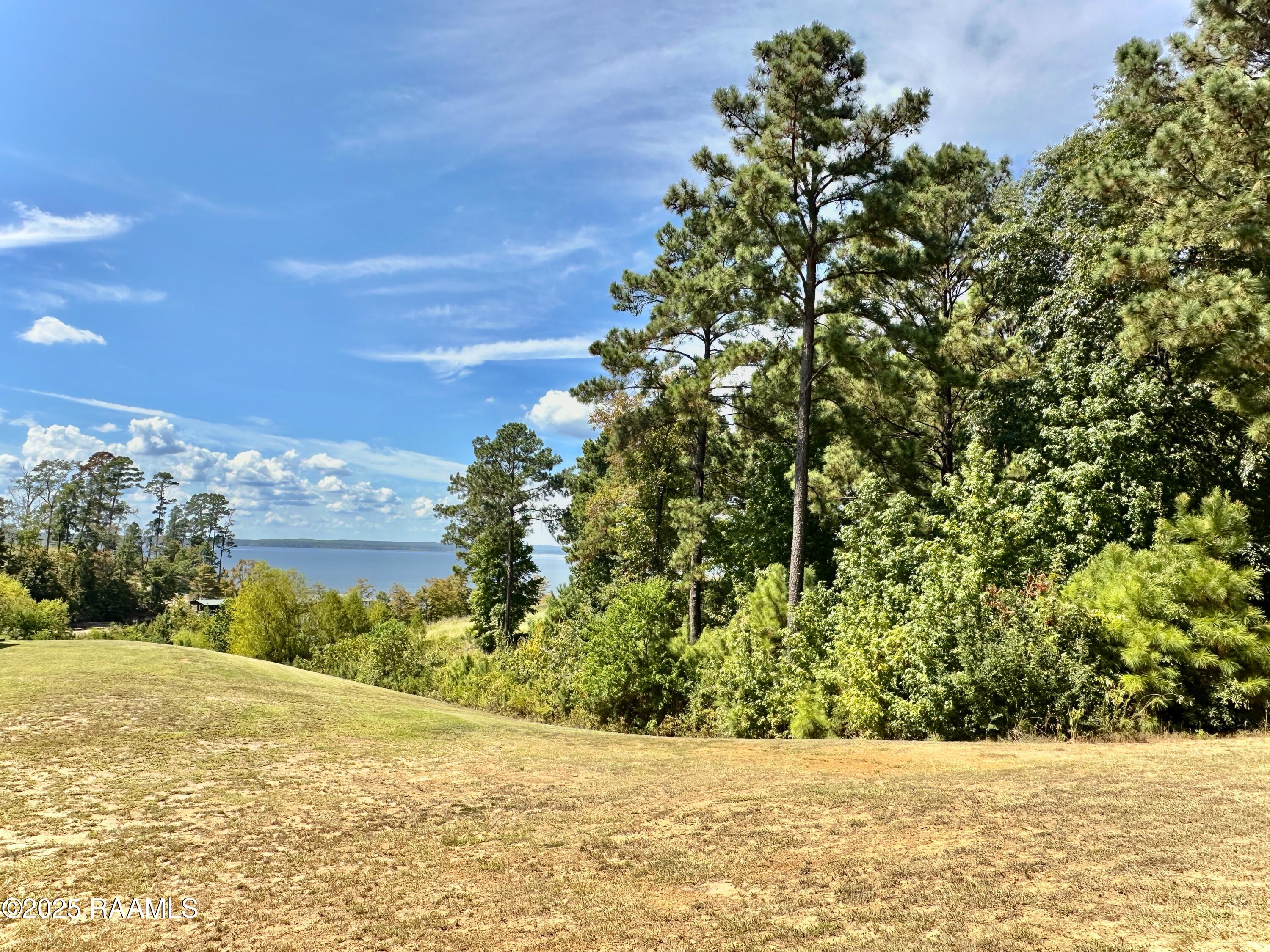 Tbd Cypress Village Drive Many, LA 71449 - Photo 3 of 7 IMG_7467