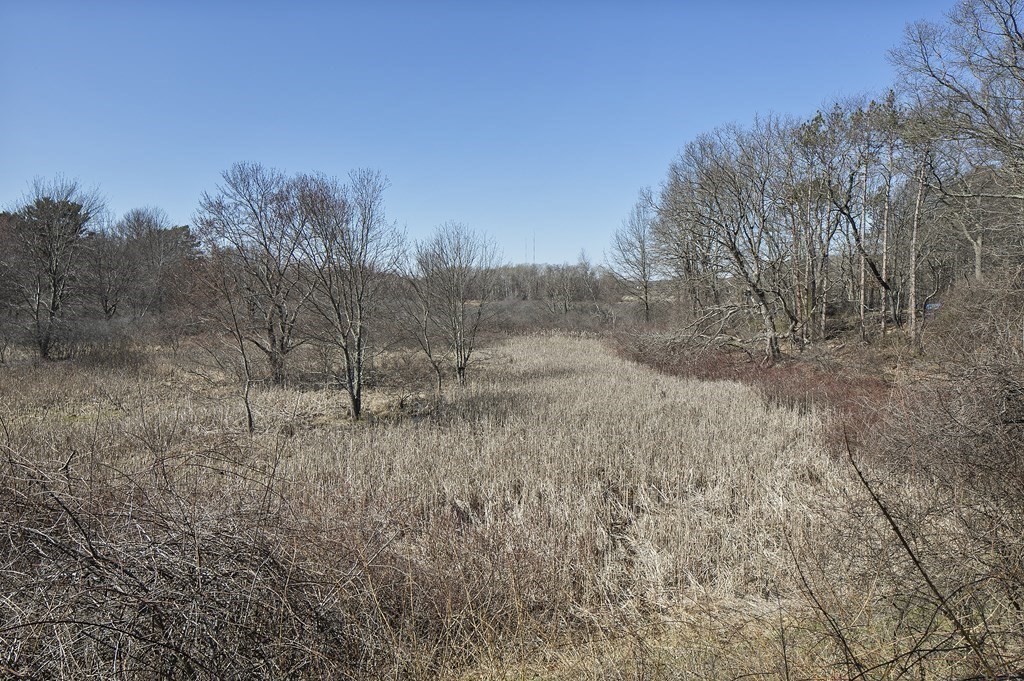159 Rosemary Road Dedham, MA 02026 - Photo 36 of 42 Gallery Image 36