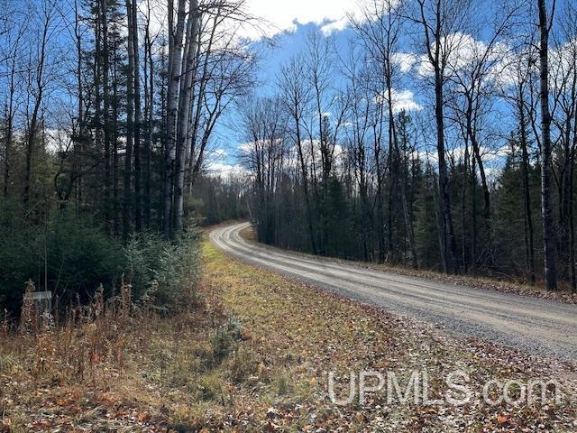 325 Mastodon Road Crystal Falls, MI 49920 - Photo 37 of 39