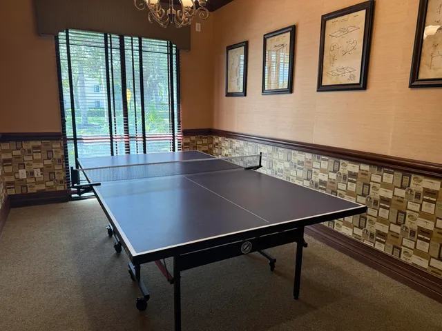 a view of a garden with palm trees