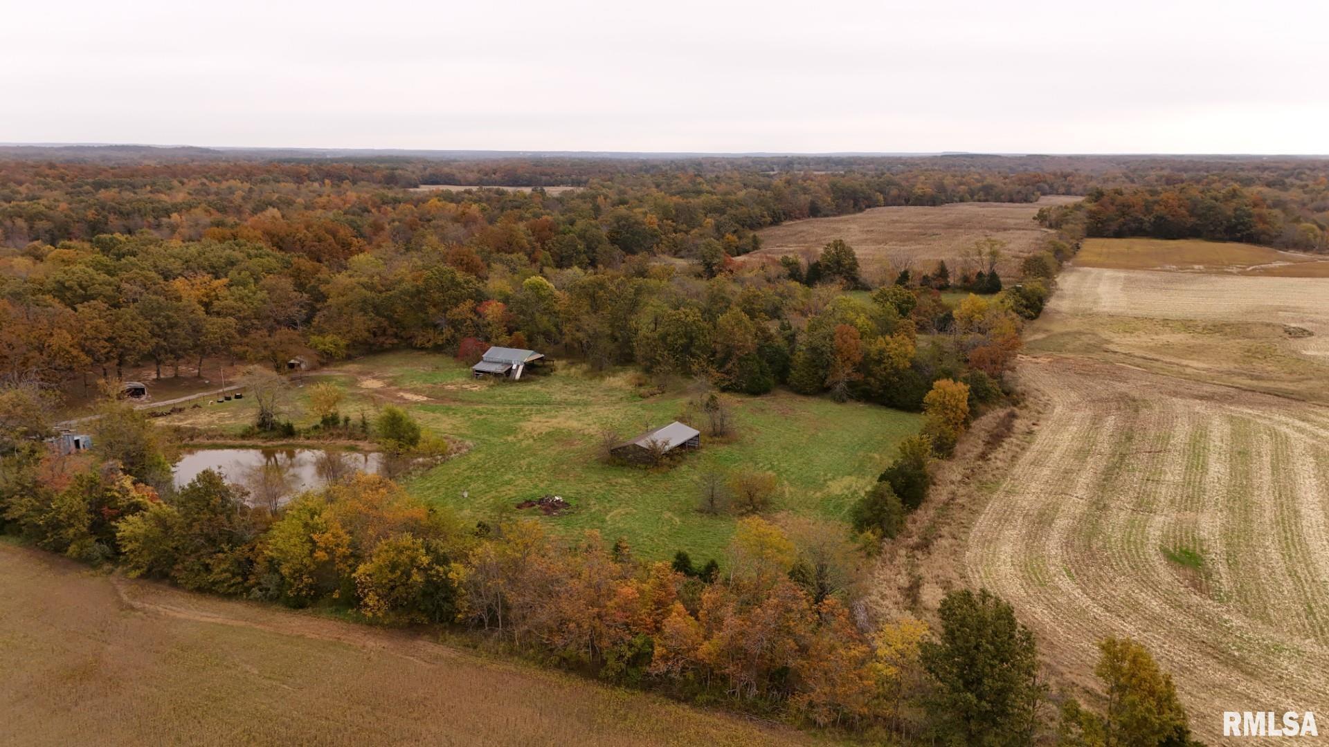13536 Alleghany Road Thompsonville, IL 62890 - Photo 9 of 62 Gallery Image 9