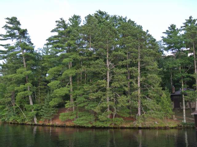 8961 Thoroughfare Road Minocqua, WI 54548 - Photo 13 of 19 Gallery Image 13
