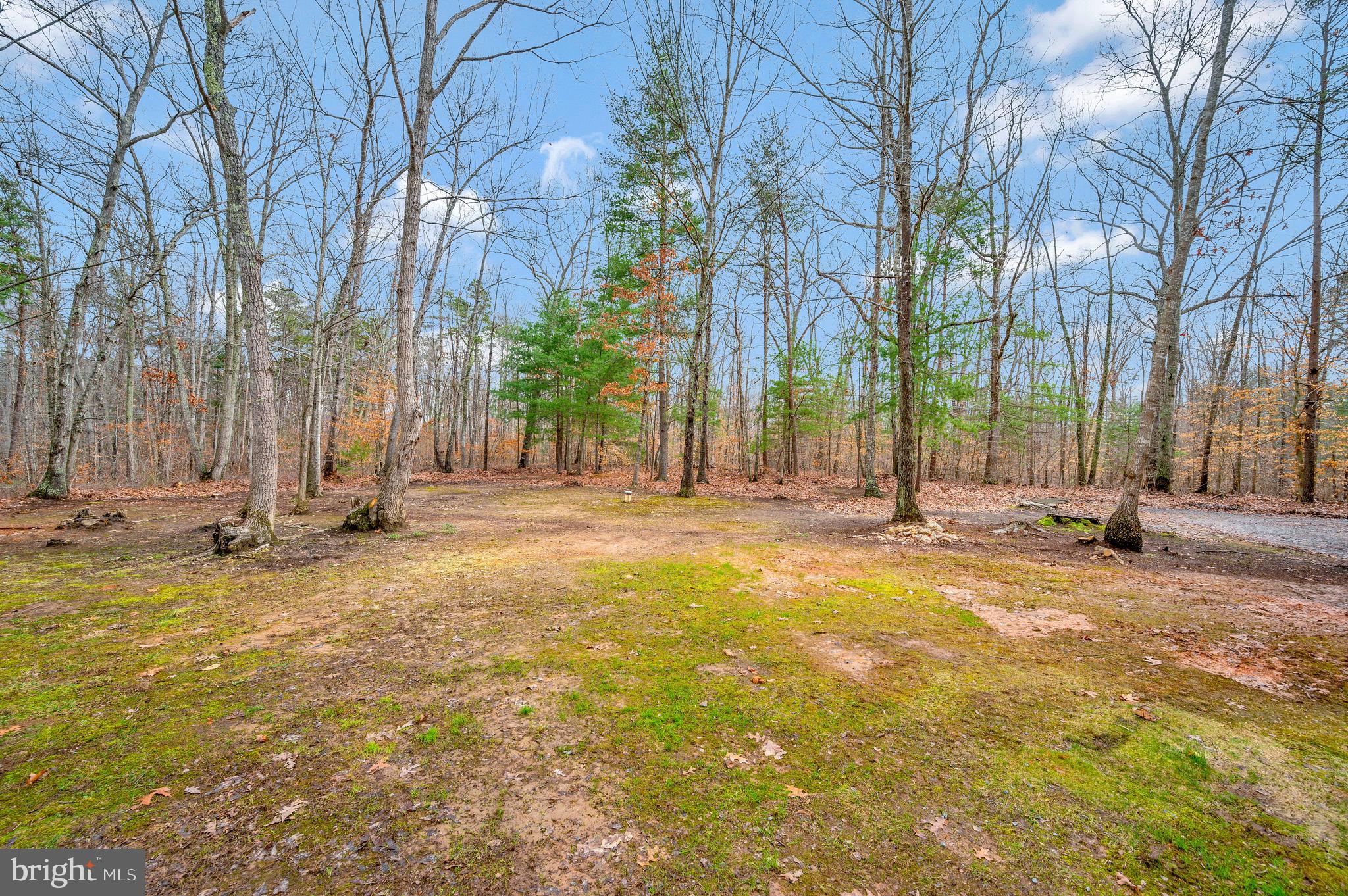 16219 Willis Road Orange, VA 22960 - Photo 41 of 47 Gallery Image 41