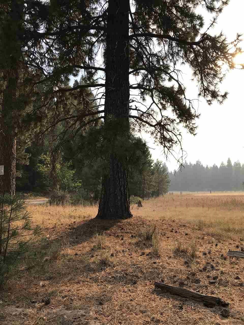 Lot 38 Sugarpine Road Weed, CA 96094 - Photo 3 of 8 Gallery Image 3