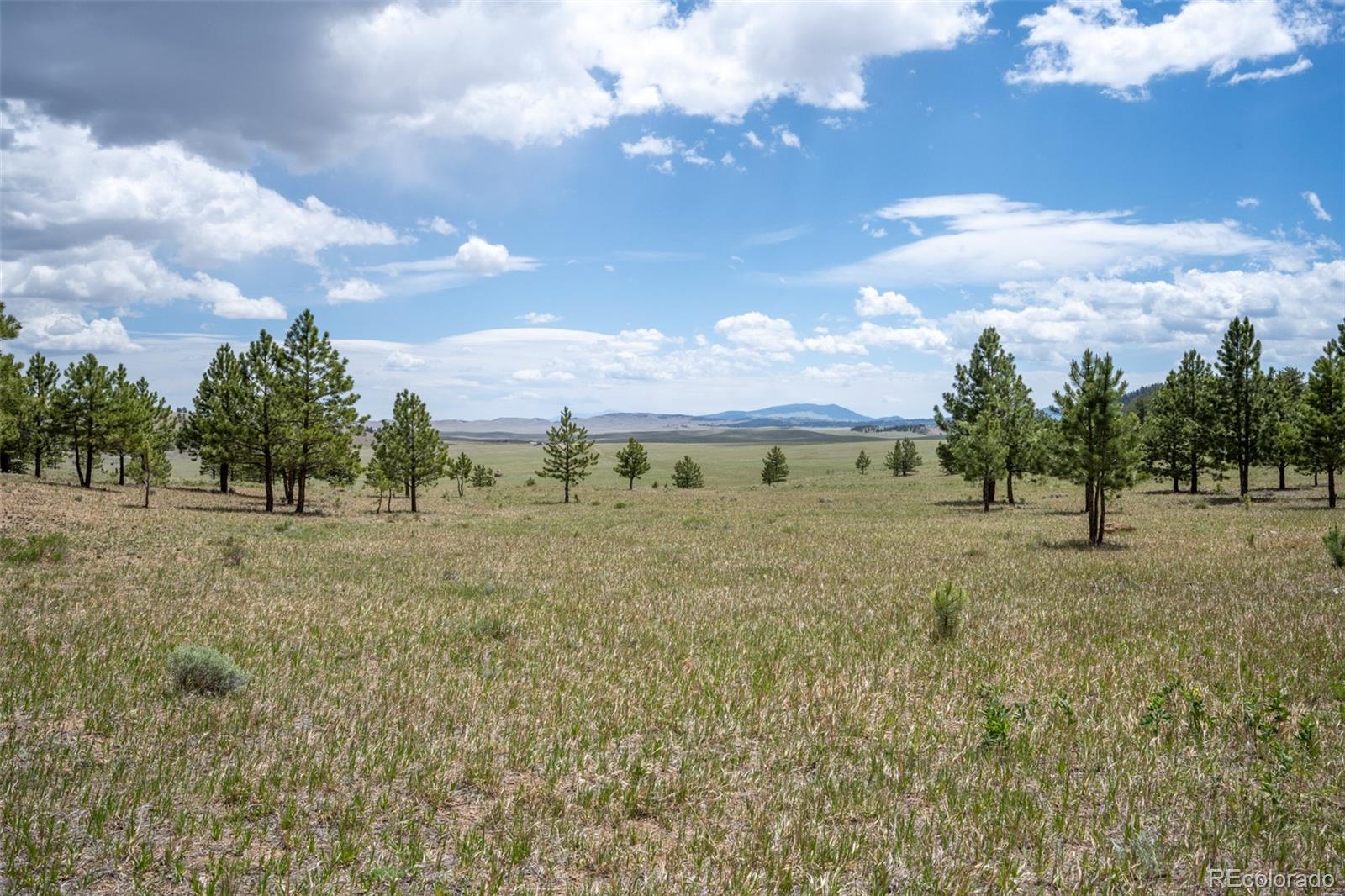 2883 Wagon Wheel Road Hartsel, CO 80449 - Photo 47 of 50