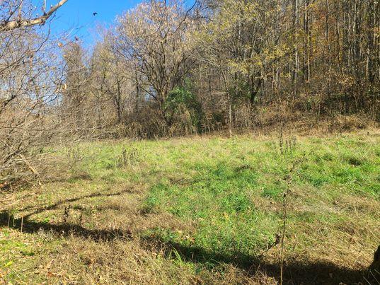 Tbd Moore Creek Road Meadowview, VA 24361 - Photo 8 of 13 Gallery Image 8