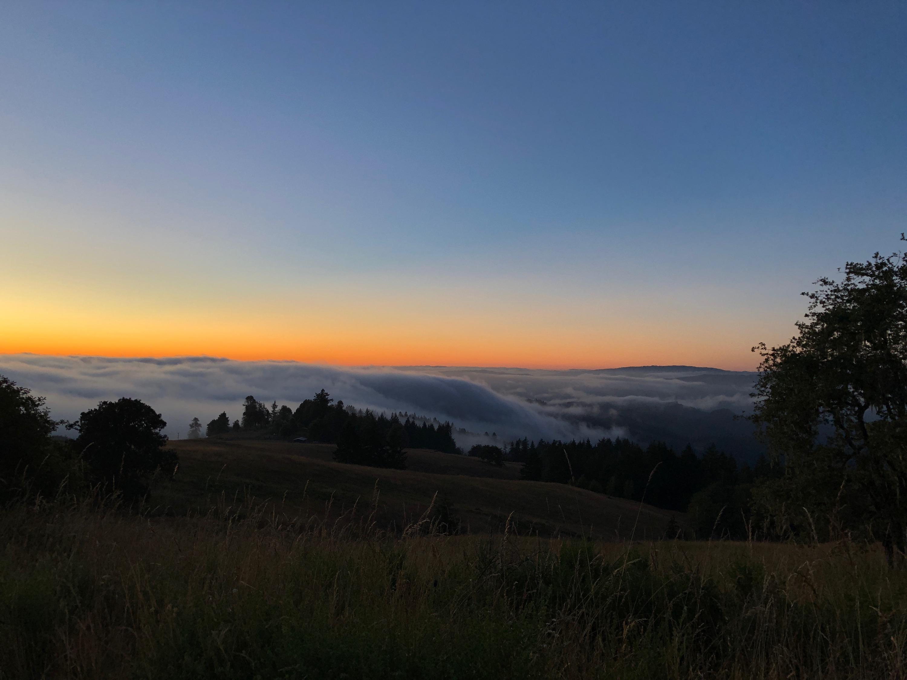 160-acres Butte Creek Road Kneeland, CA 95549 - Photo 1 of 56
