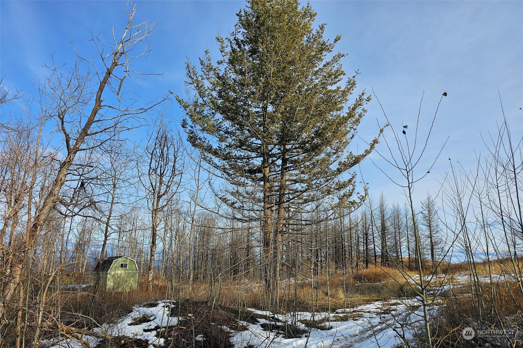 38 Light Road Oroville, WA 98844 - Photo 15 of 39