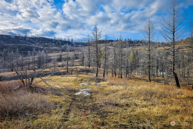 $59,900 | 38 Light Road, Oroville, WA 98844