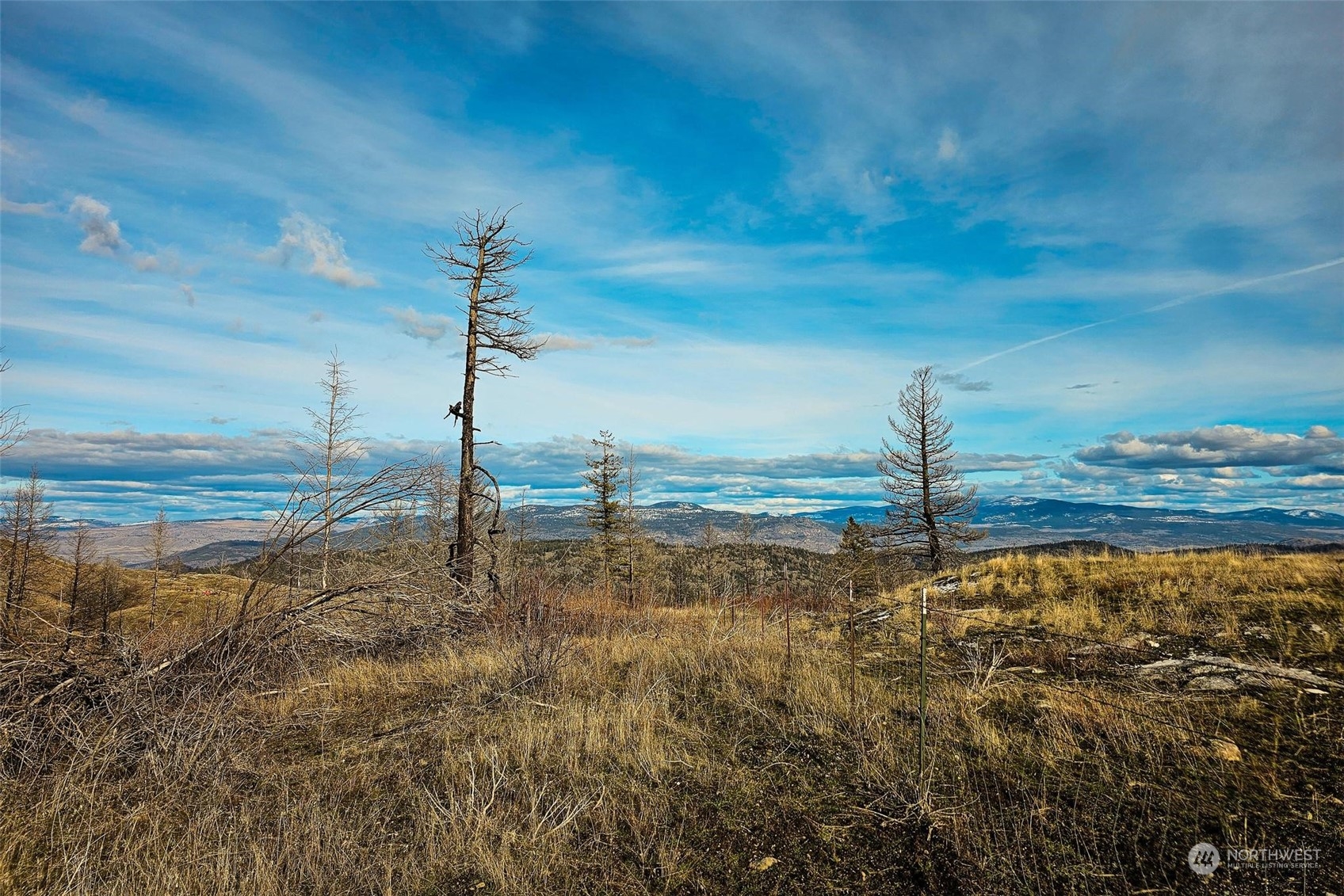 38 Light Road Oroville, WA 98844 - Photo 17 of 39