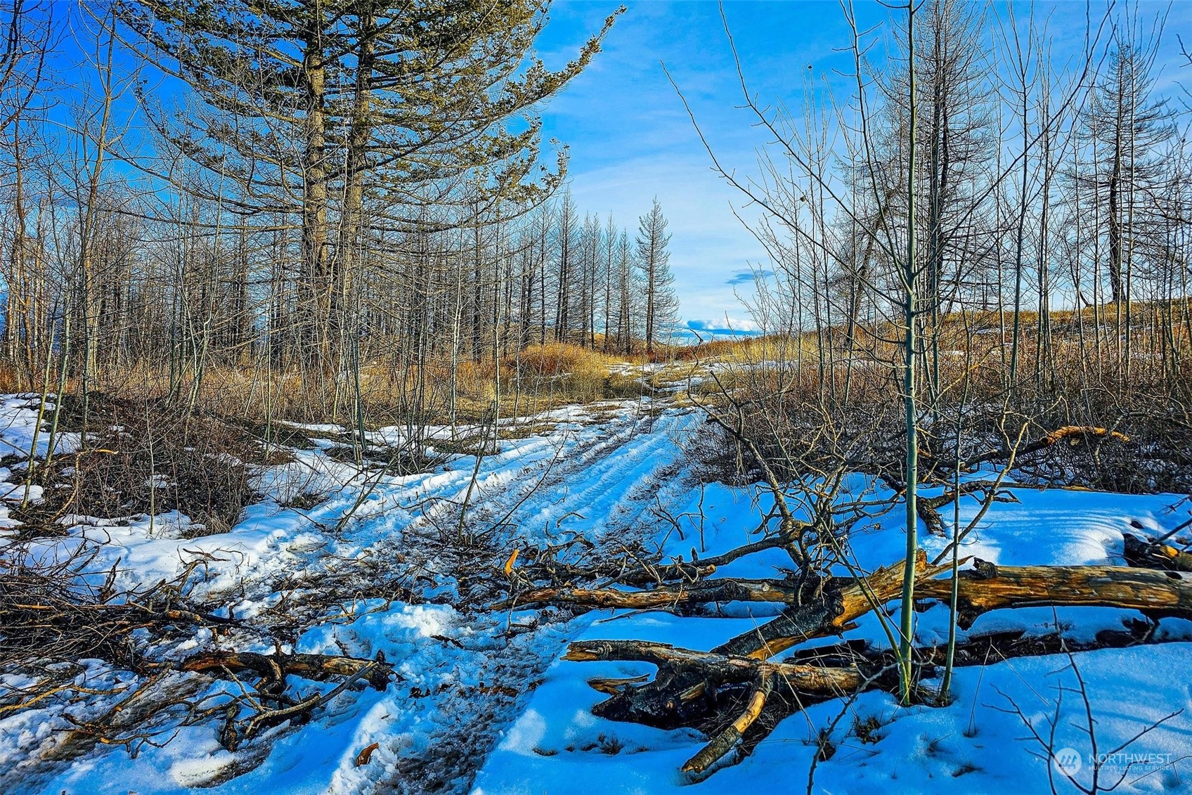 38 Light Road Oroville, WA 98844 - Photo 20 of 39