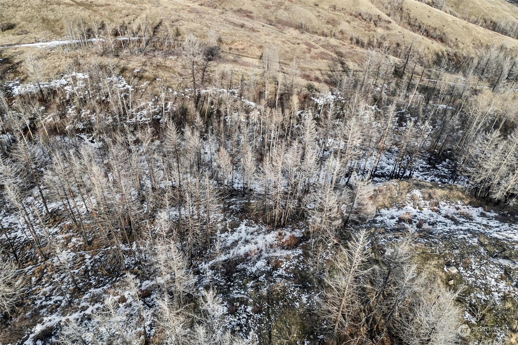 38 Light Road Oroville, WA 98844 - Photo 25 of 39