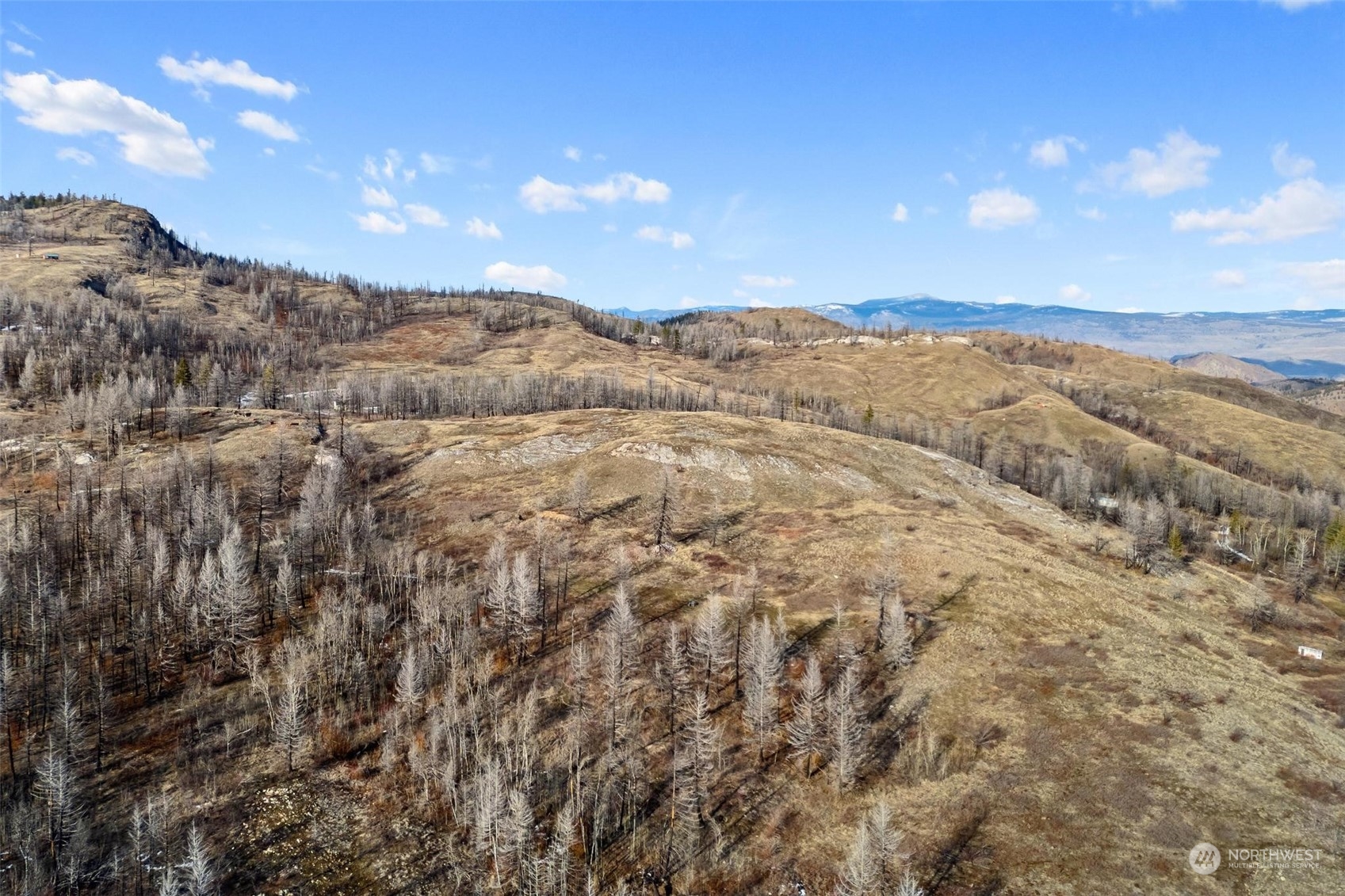 38 Light Road Oroville, WA 98844 - Photo 26 of 39