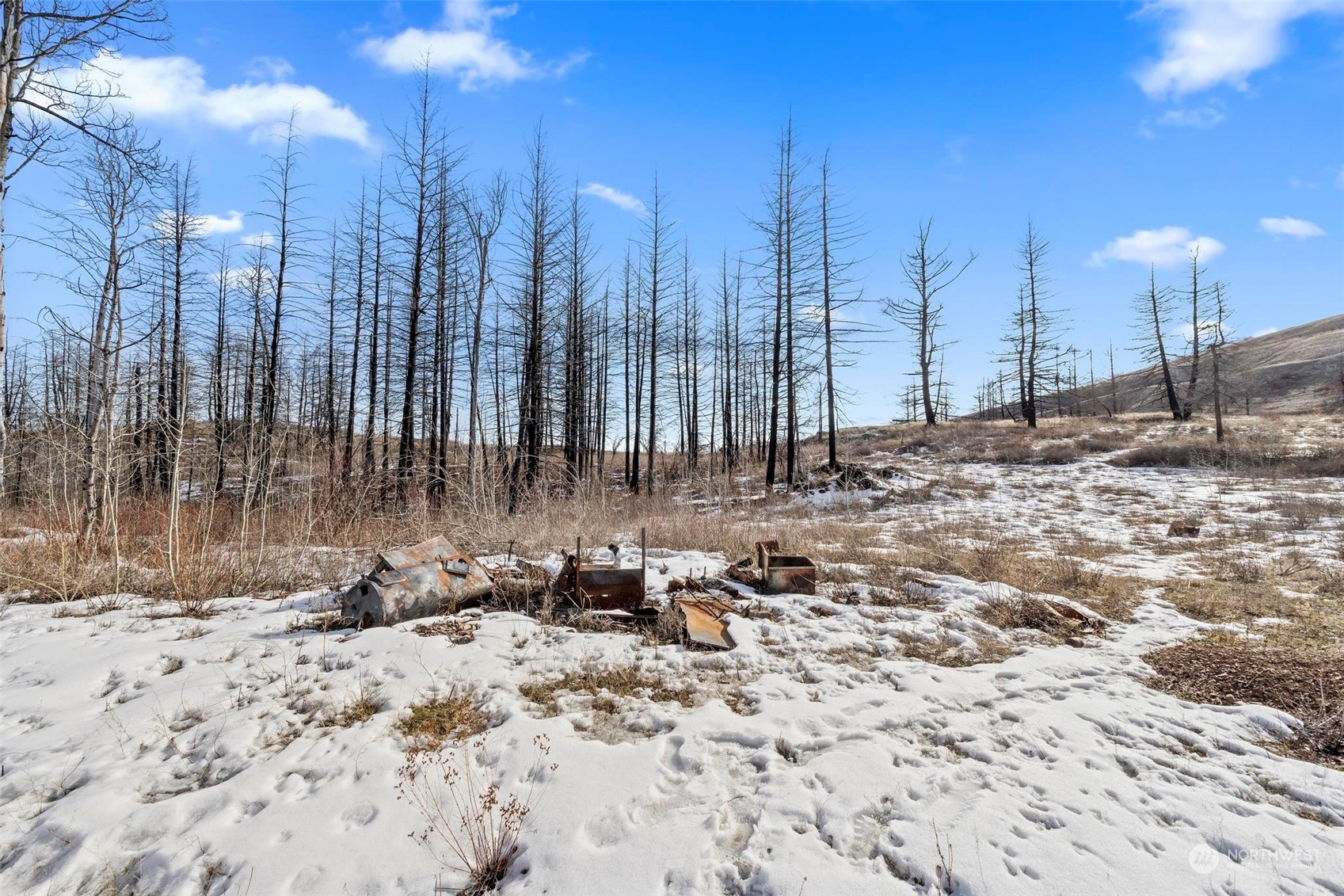 38 Light Road Oroville, WA 98844 - Photo 30 of 39