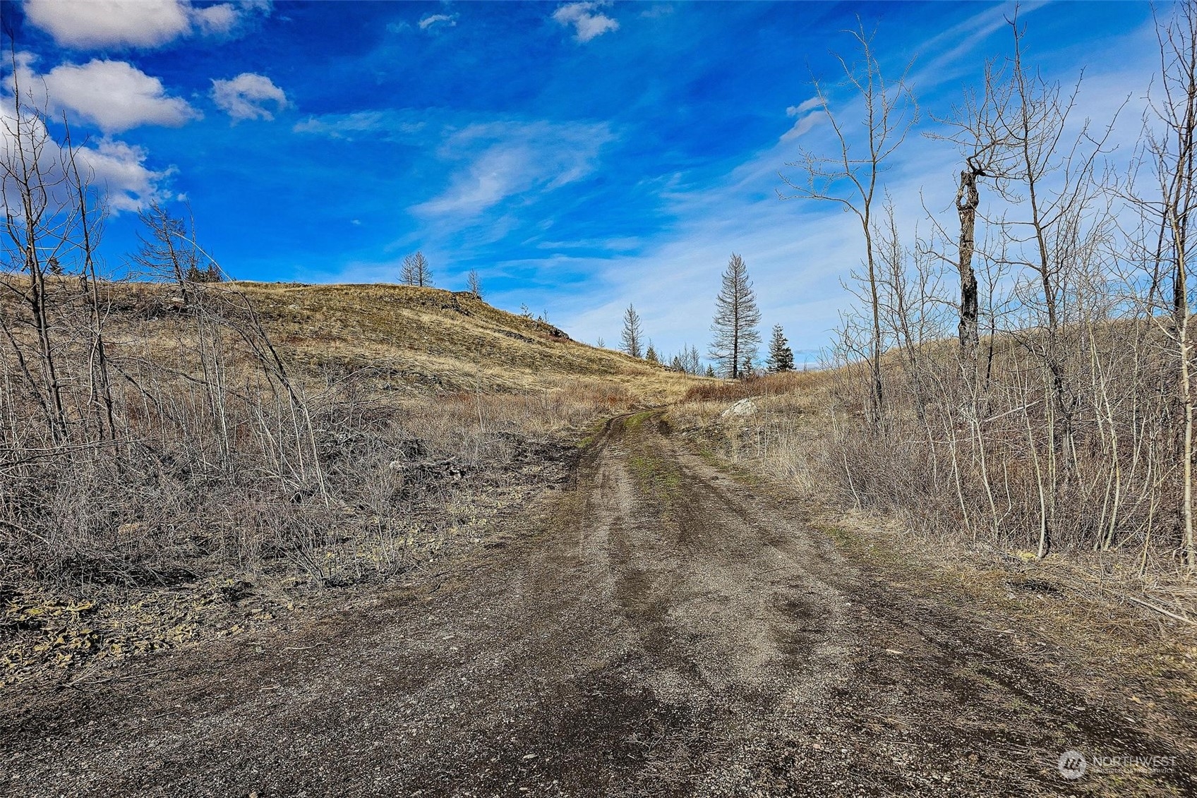 38 Light Road Oroville, WA 98844 - Photo 31 of 39