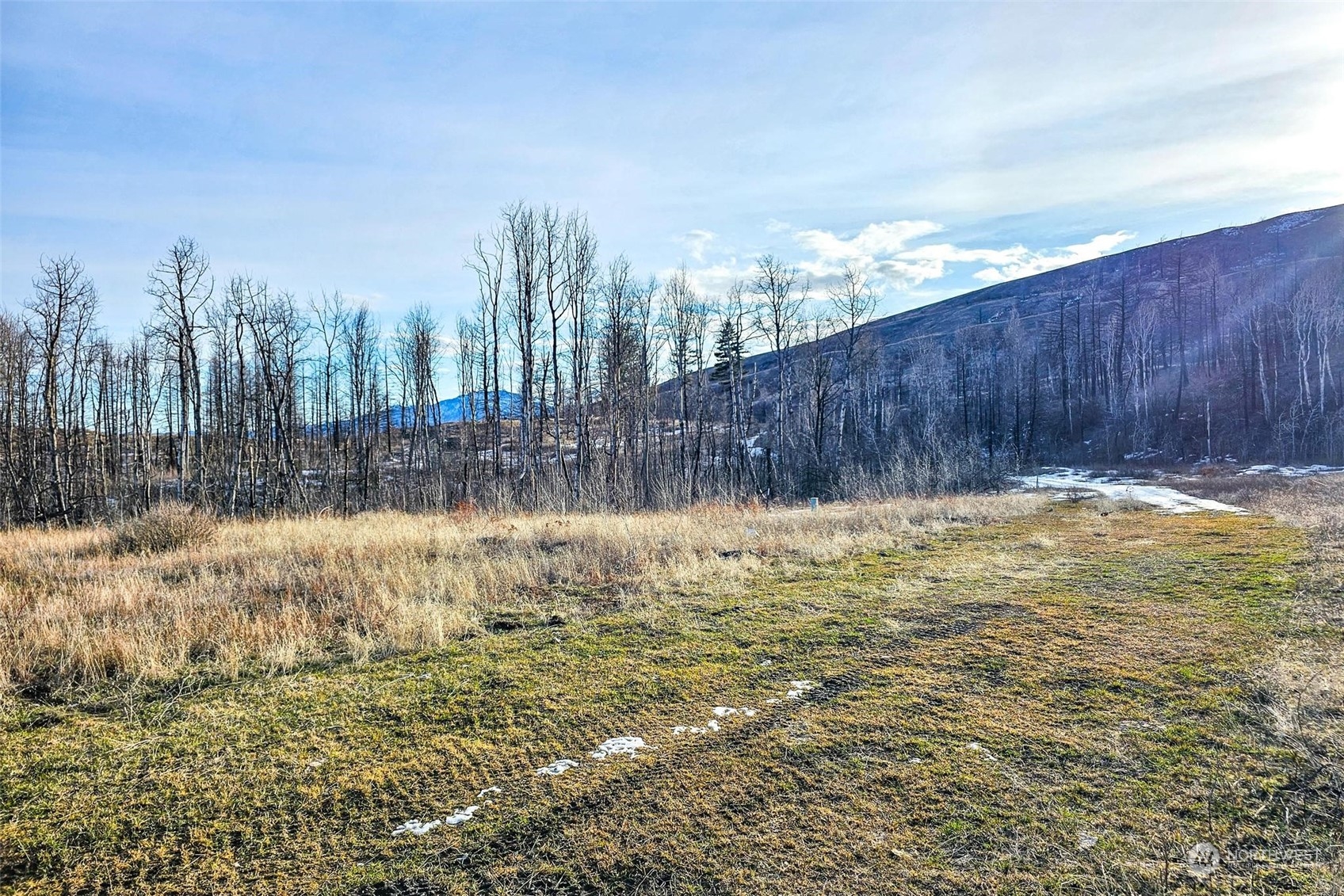 38 Light Road Oroville, WA 98844 - Photo 34 of 39