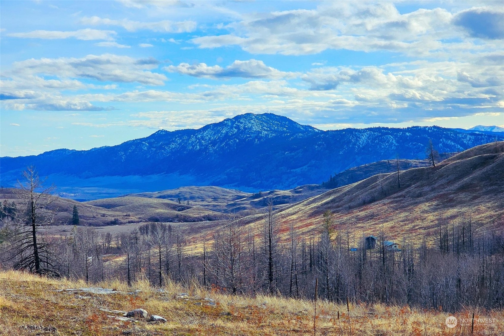 38 Light Road Oroville, WA 98844 - Photo 4 of 39