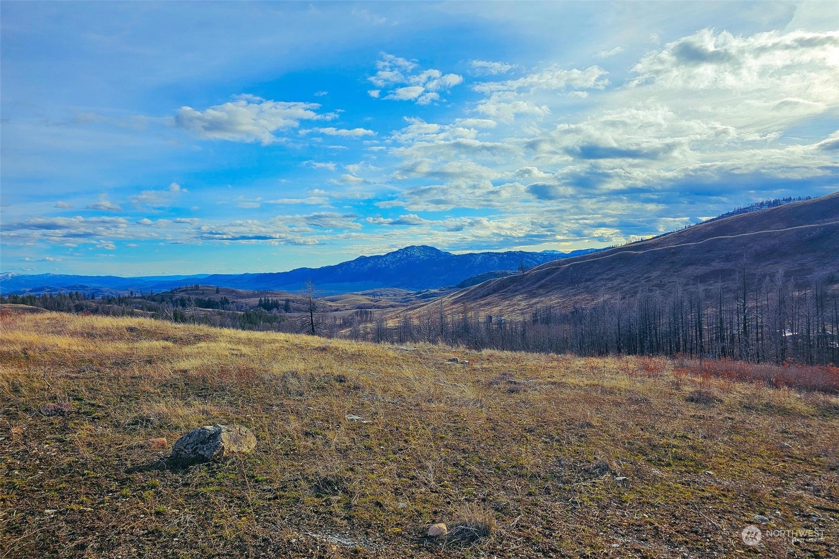 38 Light Road Oroville, WA 98844 - Photo 5 of 39