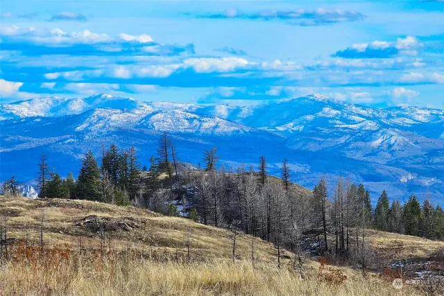 $59,900 | 38 Light Road, Oroville, WA 98844