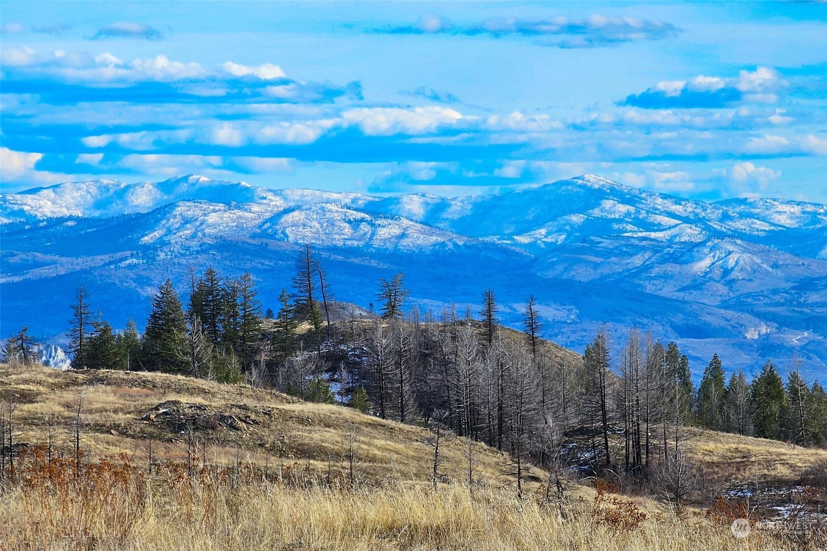38 Light Road Oroville, WA 98844 - Photo 6 of 39