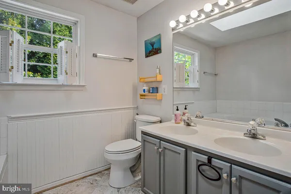 a bathroom with a sink a toilet and a mirror