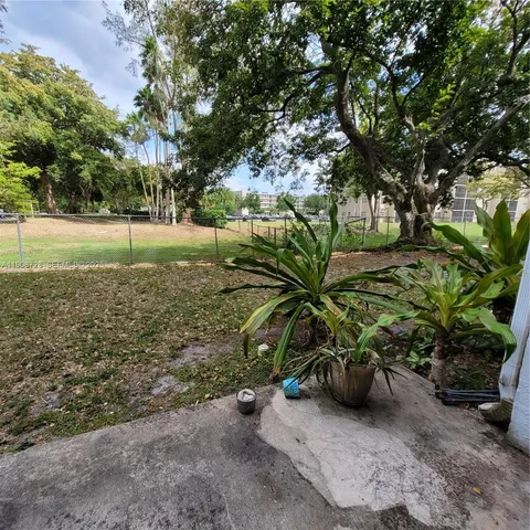a view of backyard with tree