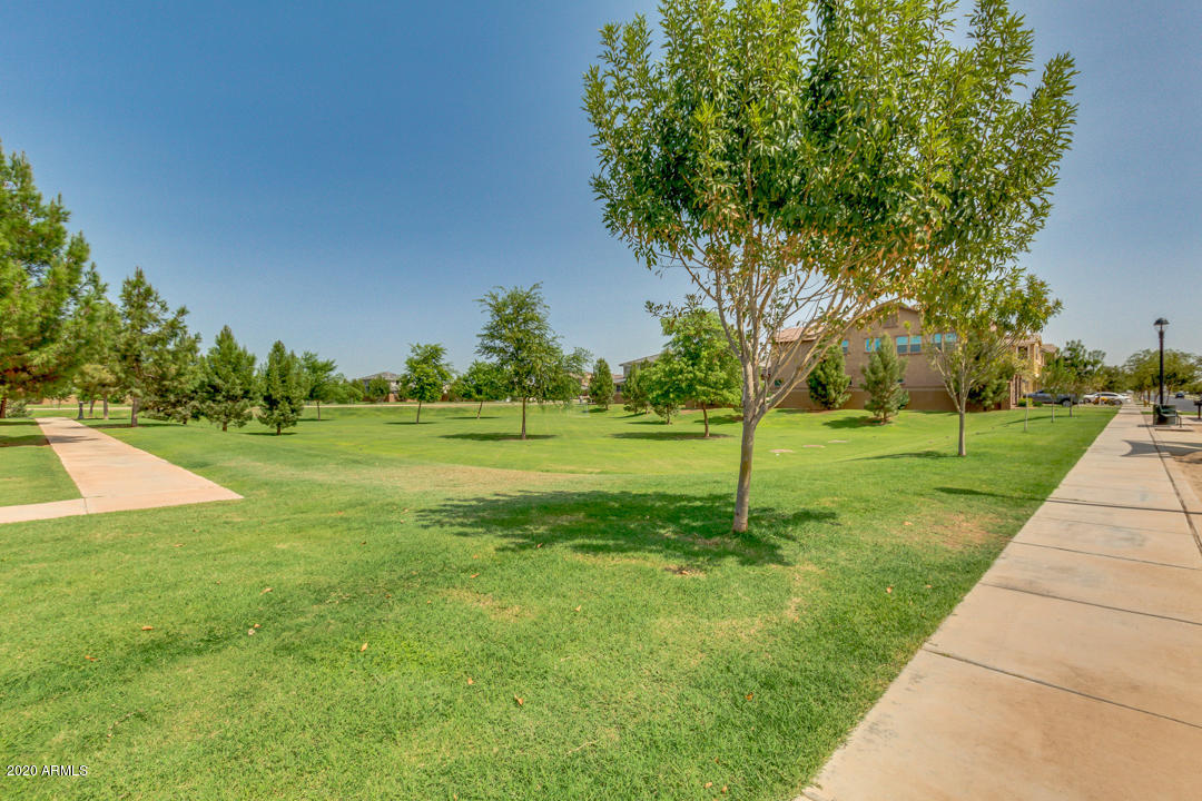 2836 East Appaloosa Road Gilbert, AZ 85296 - Photo 72 of 83 78-Appaloosa