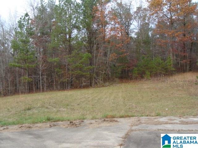 465 Cherokee Road West Blocton, AL 35184 - Photo 27 of 29