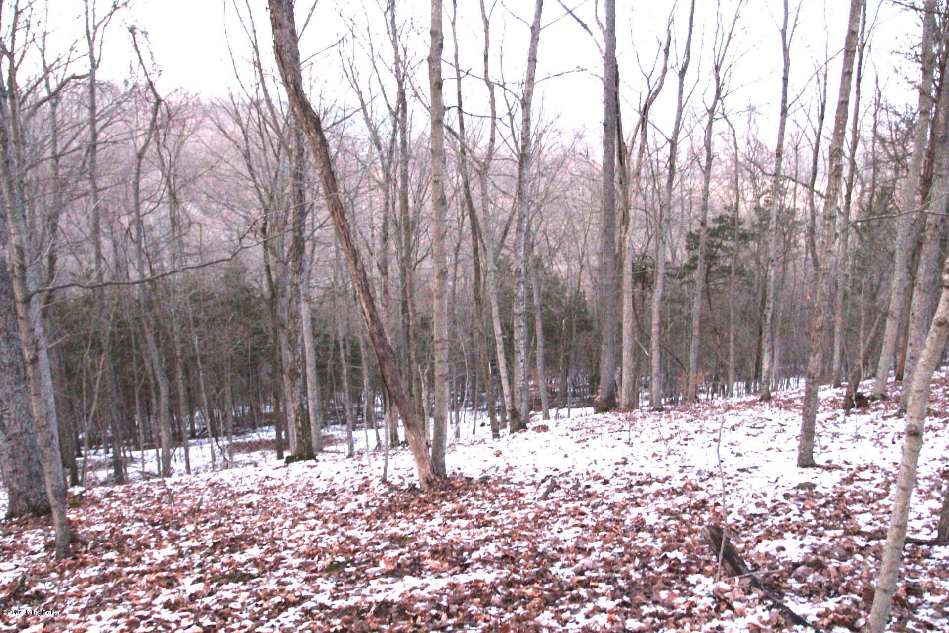 0 Penny Winkle Road Lockport, KY 40036 - Photo 7 of 21 Pennywinkle_6
