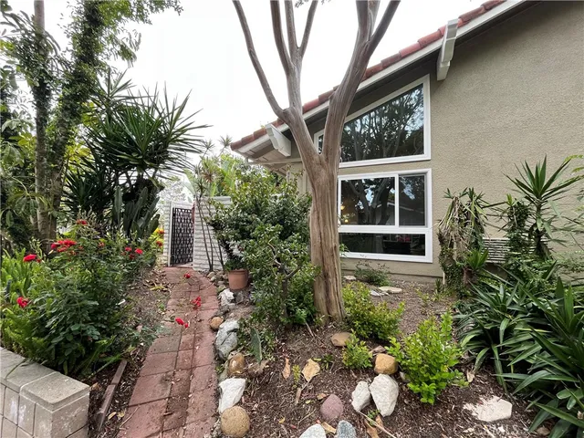 a view of a garden with plants and large trees