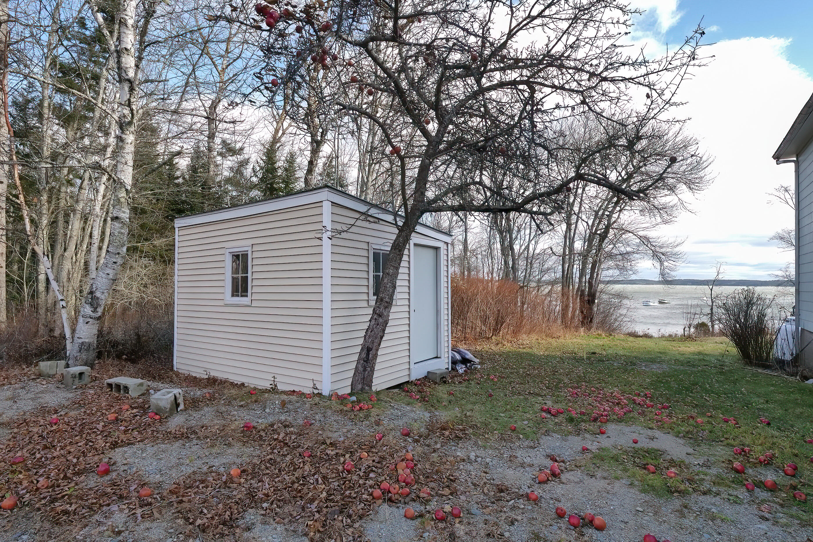 424 Wyman Road Milbridge, ME 04658 - Photo 33 of 34 Garden Shed