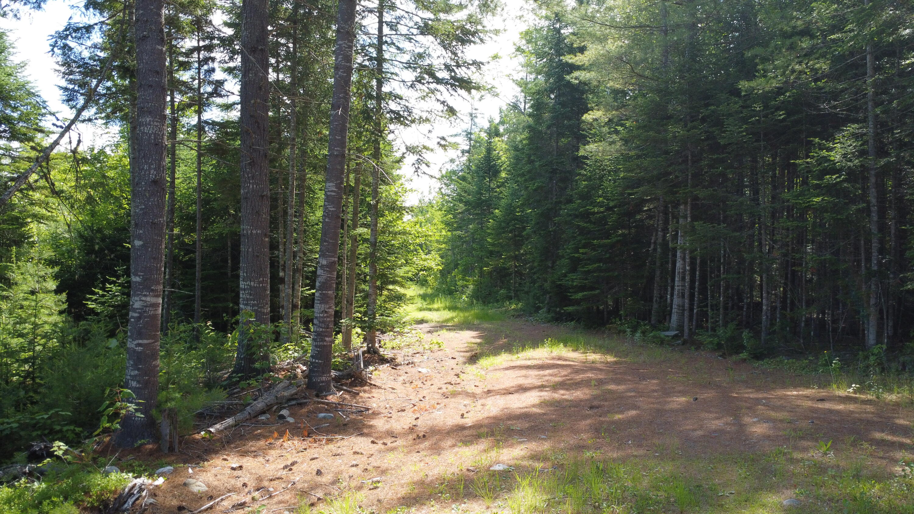 30-007 Cardville Road Greenbush, ME 04418 - Photo 18 of 19 DJI_0079