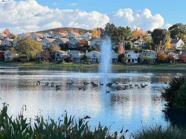 $3,600 | 3089 Lakemont Drive, San Ramon, CA 94582