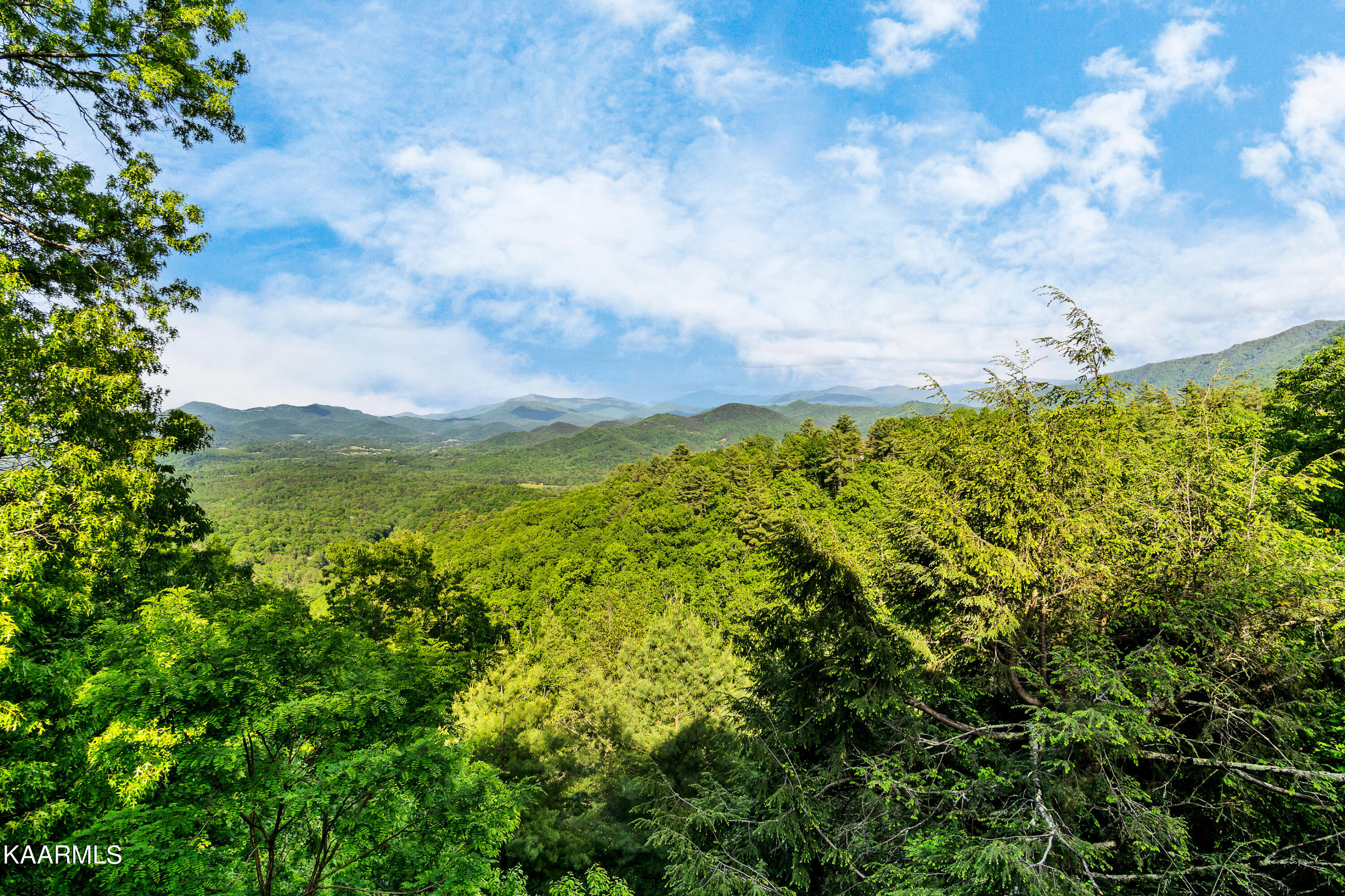 341 Kelly Ridge Road Townsend, TN 37882 - Photo 35 of 55 DSC06223