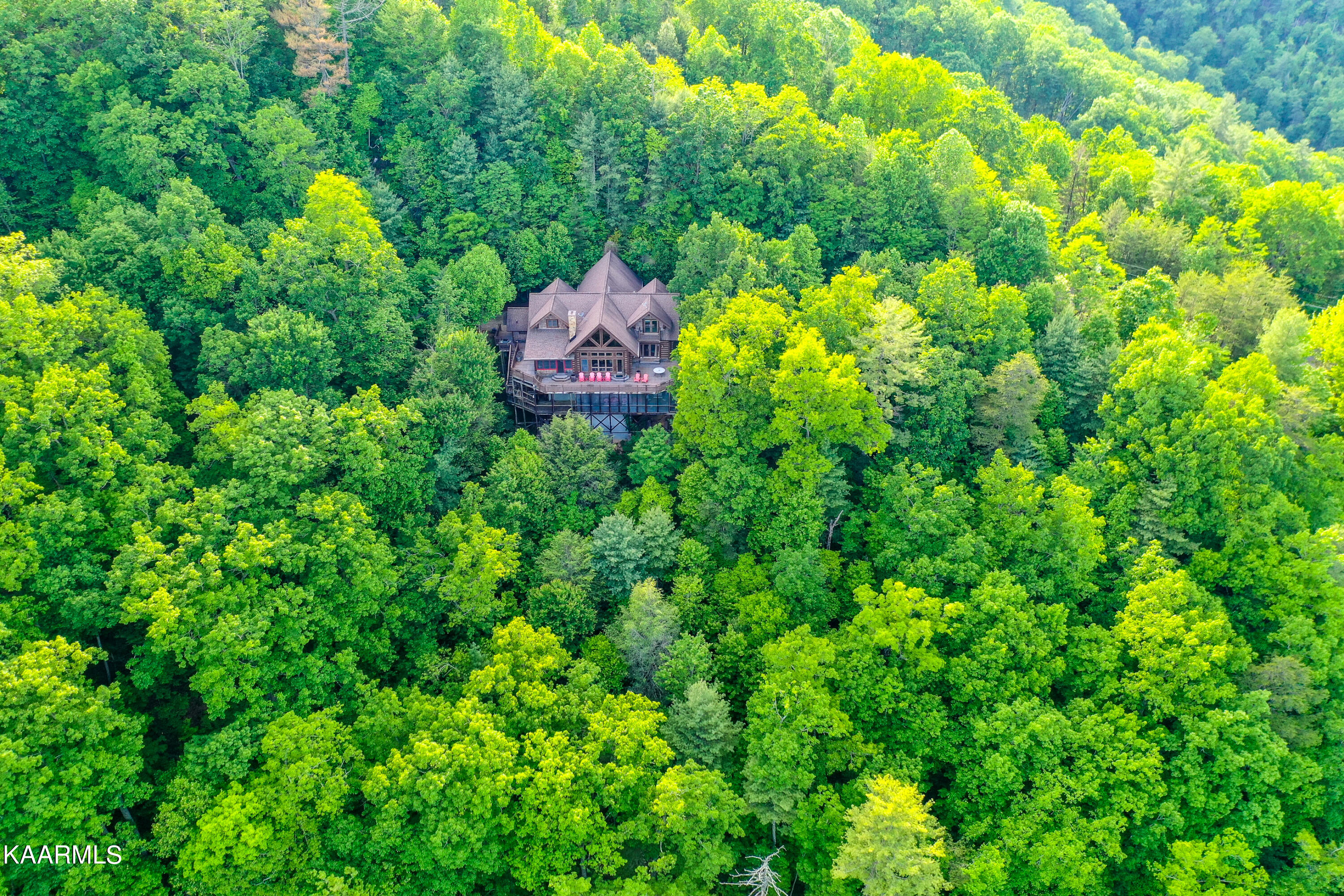 341 Kelly Ridge Road Townsend, TN 37882 - Photo 4 of 55 Dsc_2996-16