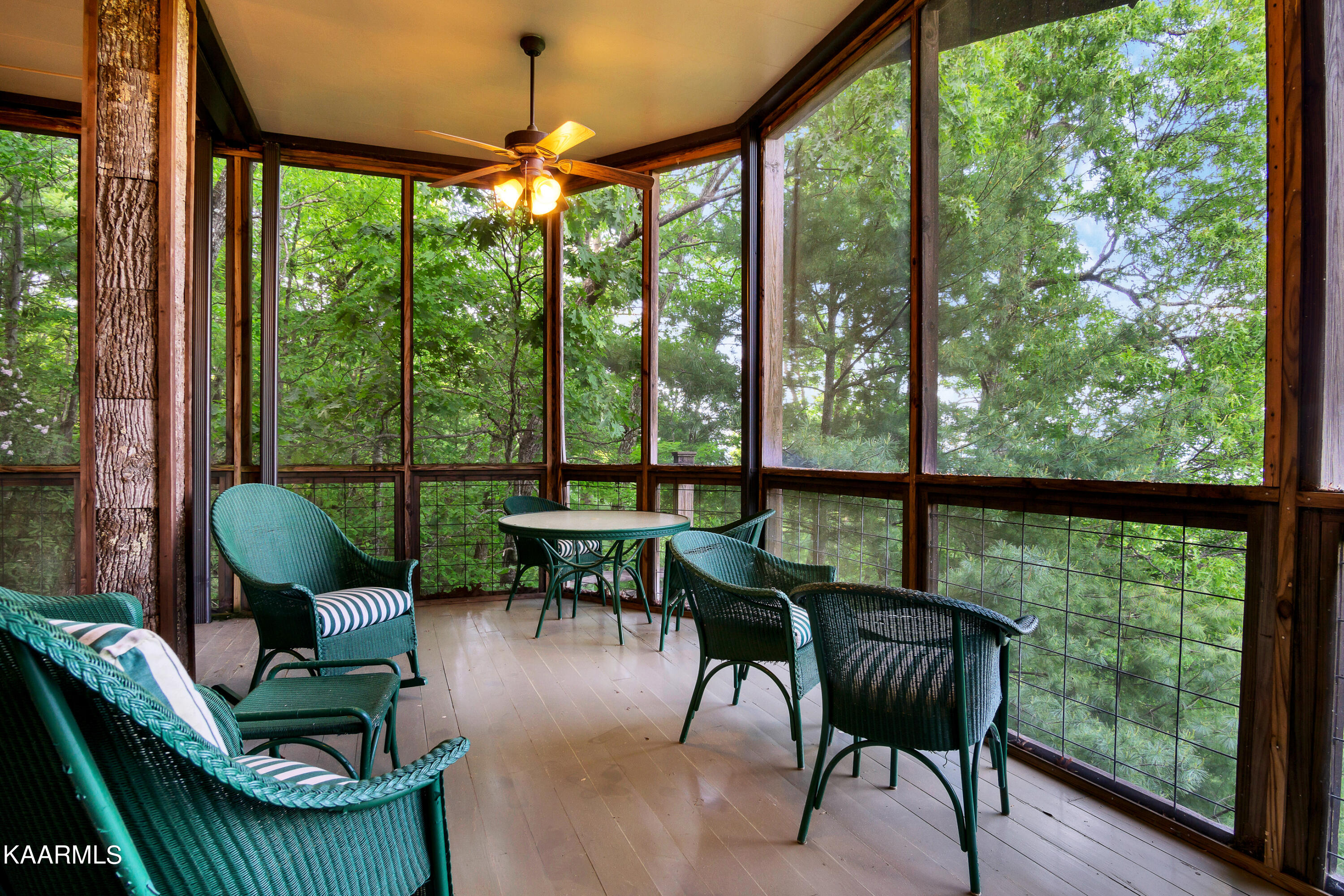 341 Kelly Ridge Road Townsend, TN 37882 - Photo 50 of 55 DSC06334