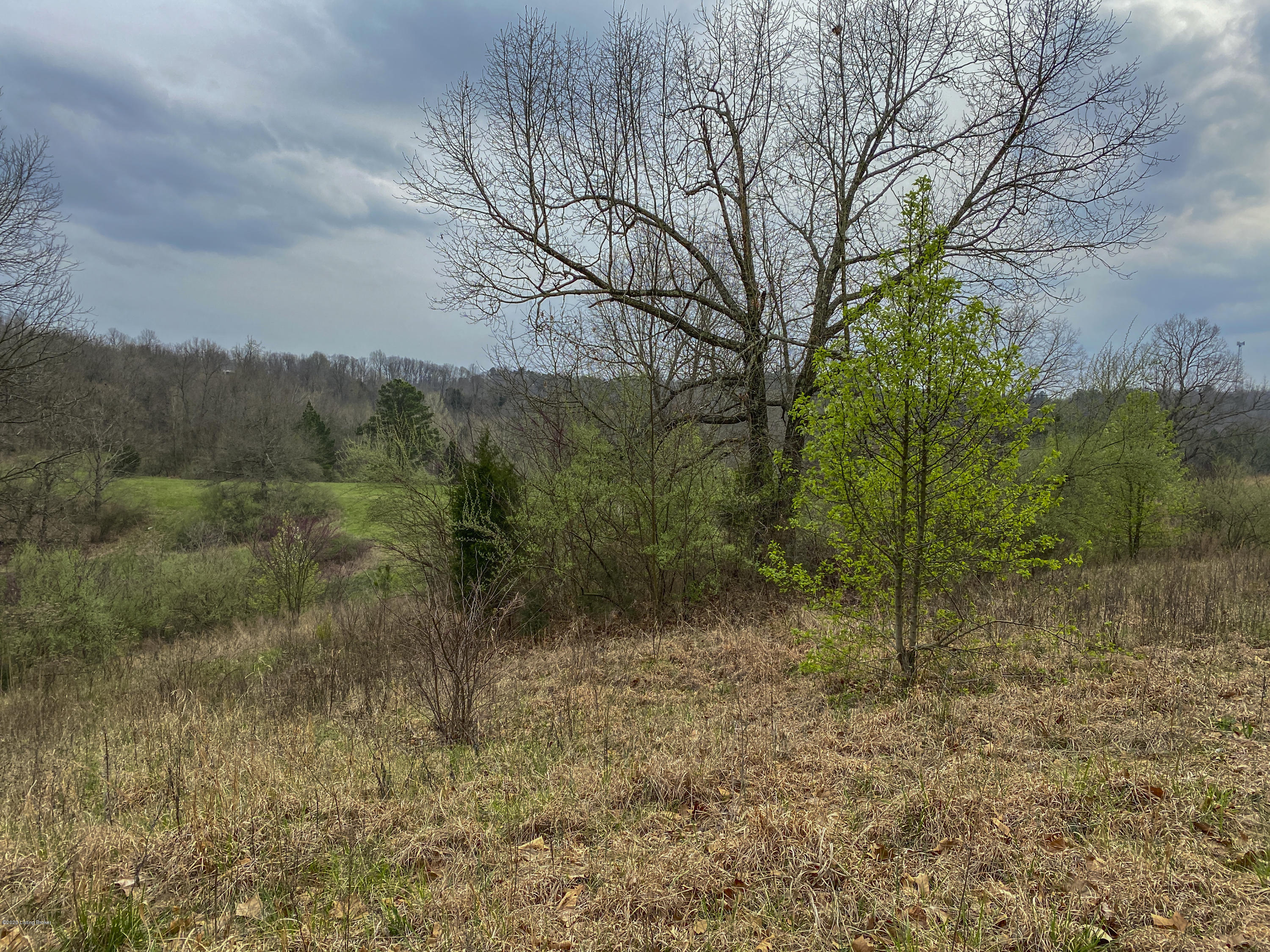 Lot 7 Sunbeam Road Leitchfield, KY 42754 - Photo 16 of 21 IMG_0636