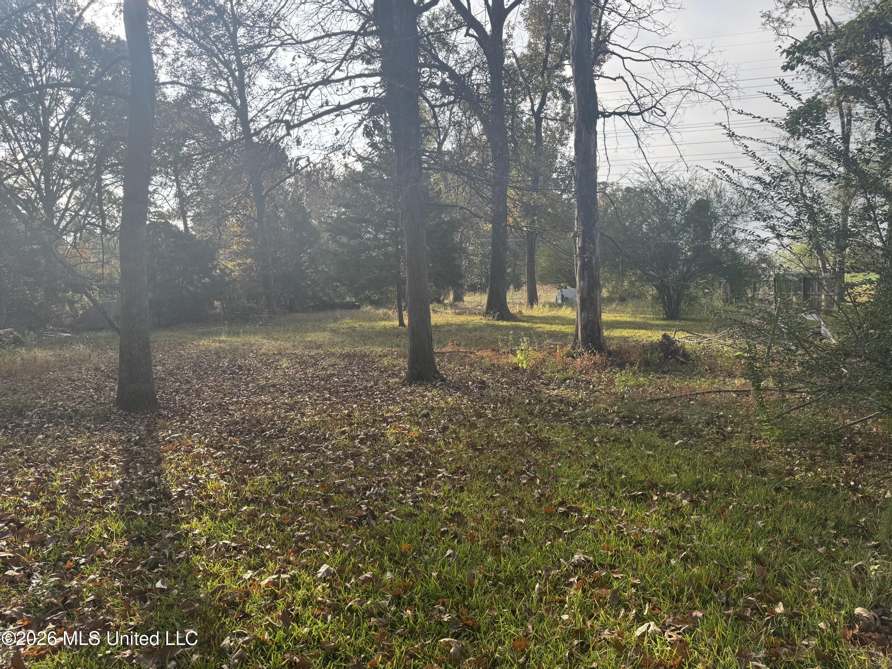 655 Ralde Circle Ridgeland, MS 39157 - Photo 24 of 28 Backyard