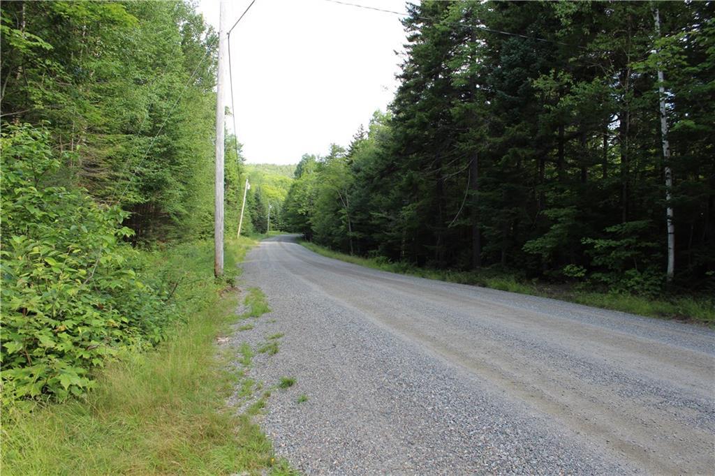 Lot 50 Edelheid Road Sandy River Plt, ME 04970 - Photo 1 of 16 Edelheid Road