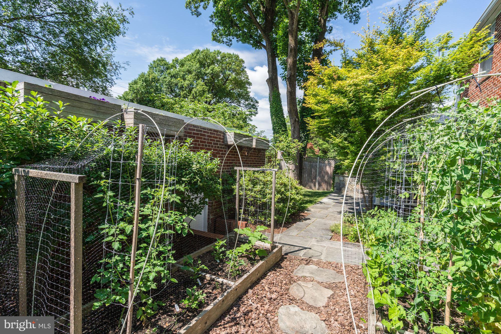 1608 Roxanna Road Northwest Washington, DC 20012 - Photo 26 of 28