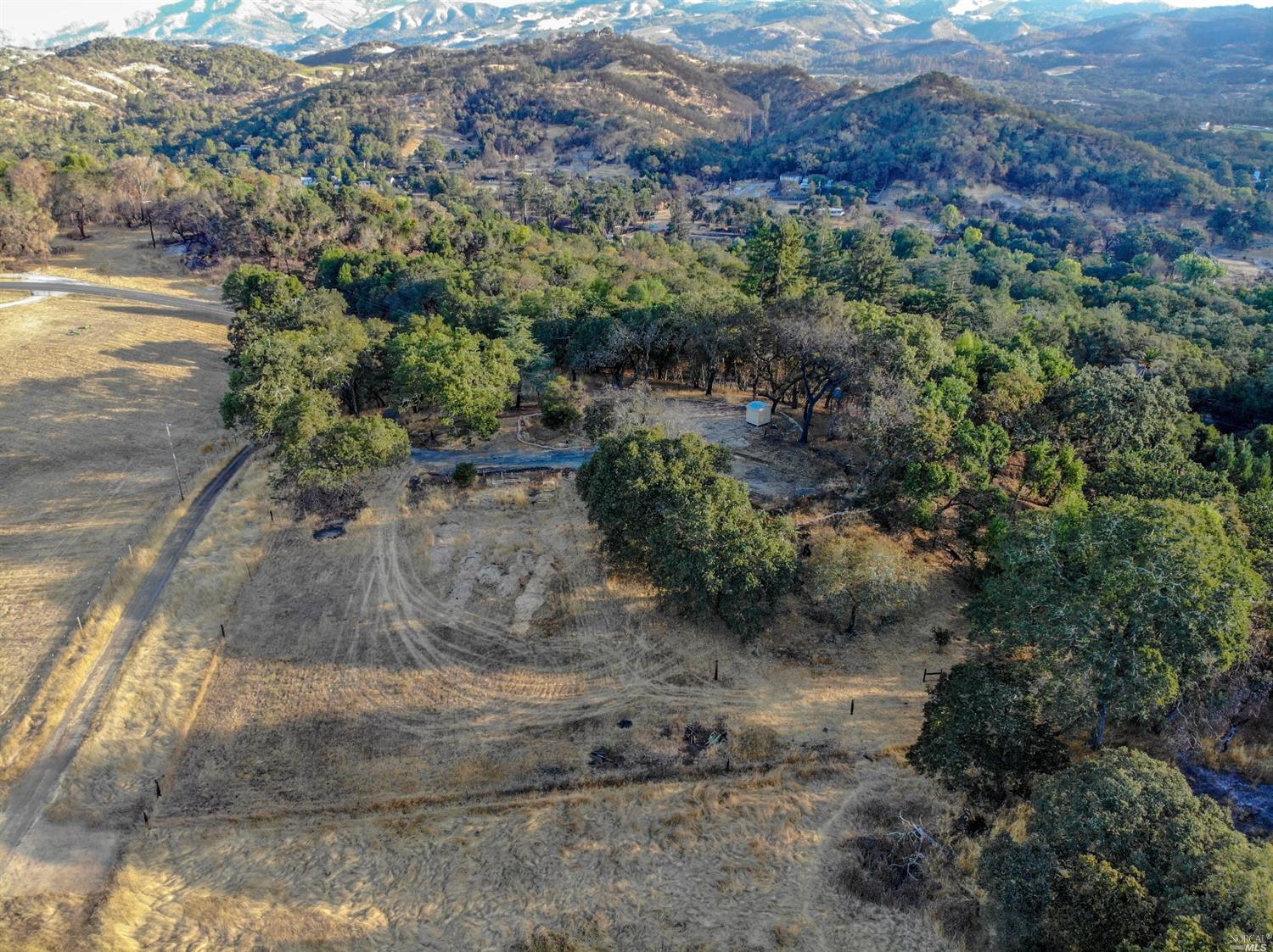 1420 London Ranch Road Glen Ellen, CA 95442 - Photo 1 of 1 a view of a yard with plants
