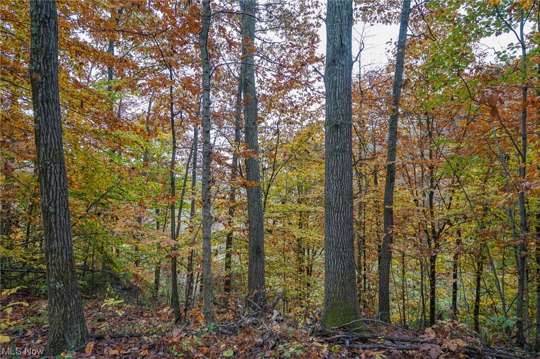 37632 Sheepskin Ridge Road Lower Salem, OH 45745 - Photo 28 of 30 View of mother earth's splendor