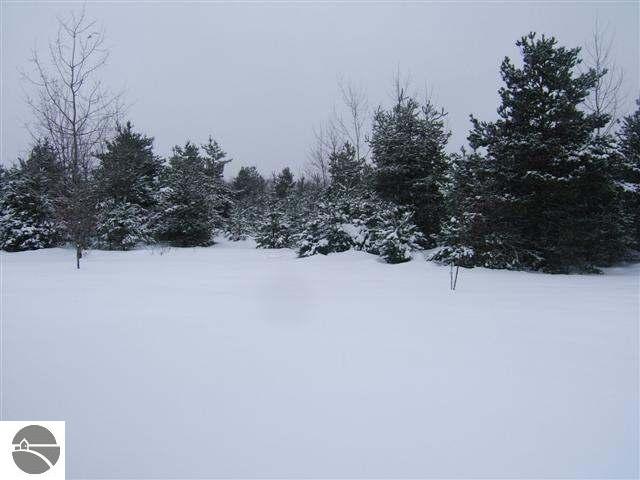 17155 Viaduct Road Copemish, MI 49625 - Photo 15 of 15 1699766-14.JPG