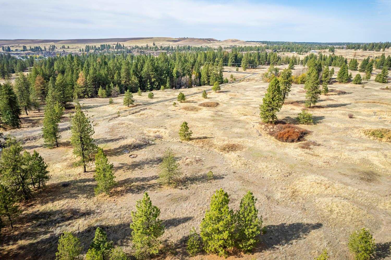 0 West Williams Lake Road Cheney, WA 99004 - Photo 11 of 18